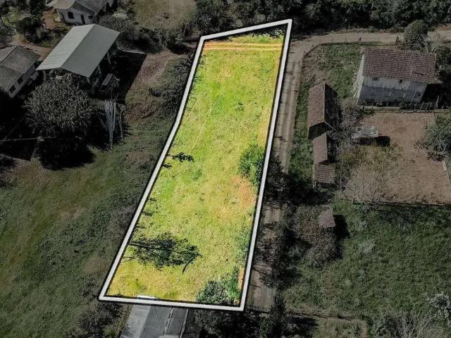 Terreno / Lote para Venda em São José dos Pinhais/PR Zona Rural