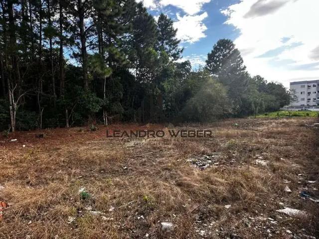 Terreno / Lote para Venda em São José/SC Areias