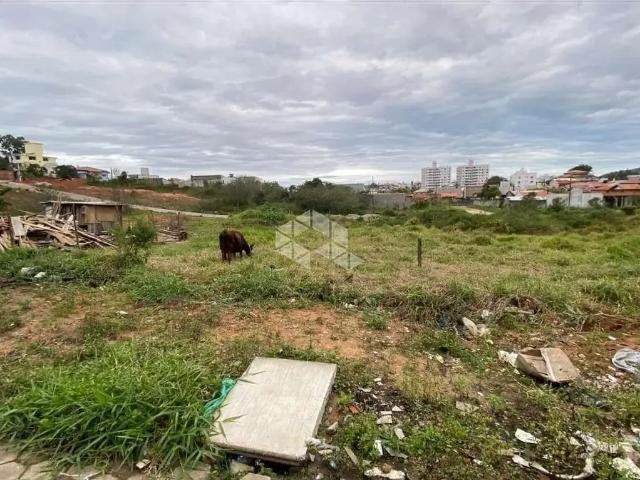 Terreno / Lote para Venda em São José/SC Areias