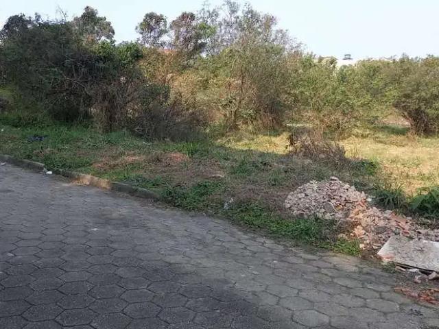 Terreno / Lote para Venda em São José/SC Areias