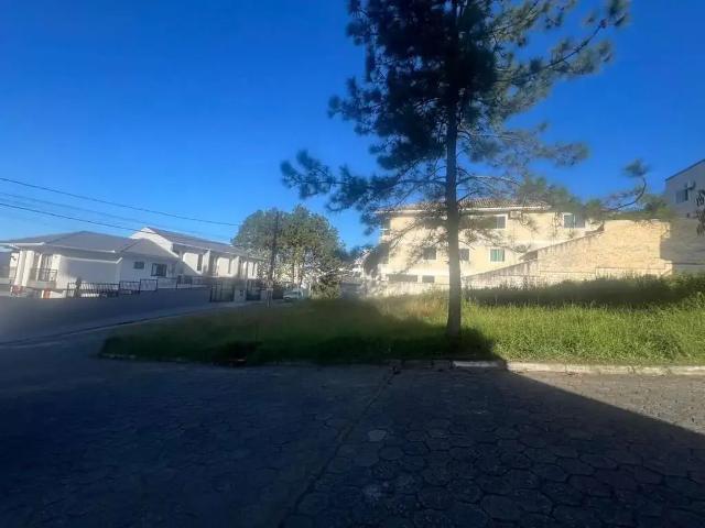 Terreno / Lote para Venda em São José/SC Areias