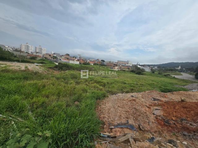 Terreno / Lote para Venda em São José/SC Areias