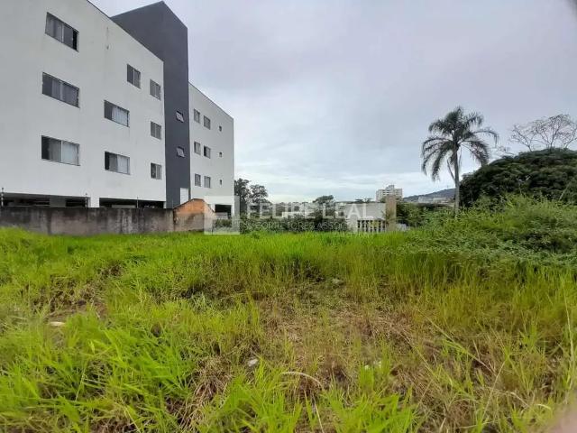 Terreno / Lote para Venda em São José/SC Areias