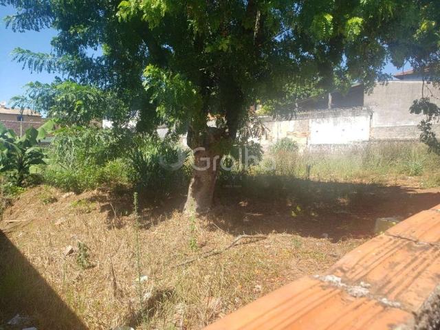 Terreno / Lote para Venda em São José/SC Barreiros