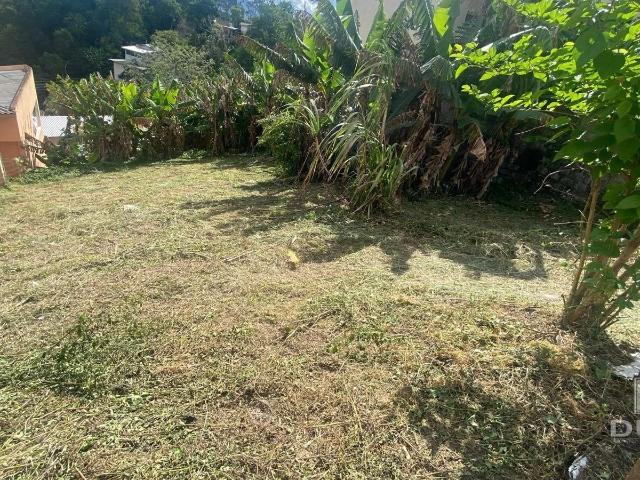 Terreno / Lote para Venda em São José/SC Centro