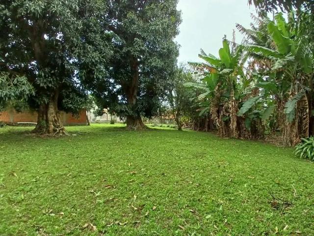 Terreno / Lote para Venda em São José/SC Centro