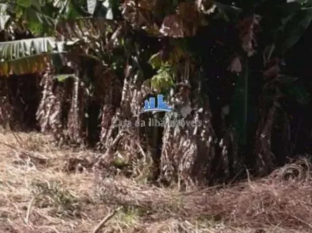 Terreno / Lote para Venda em São José/SC Centro