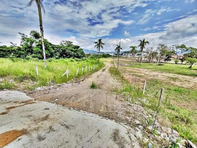 Terreno / Lote para Venda em São José/SC Fazenda Santo Antônio