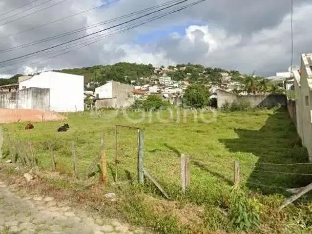 Terreno / Lote para Venda em São José/SC Fazenda Santo Antônio