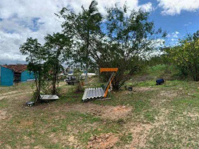 Terreno / Lote para Venda em São José/SC Fazenda Santo Antônio