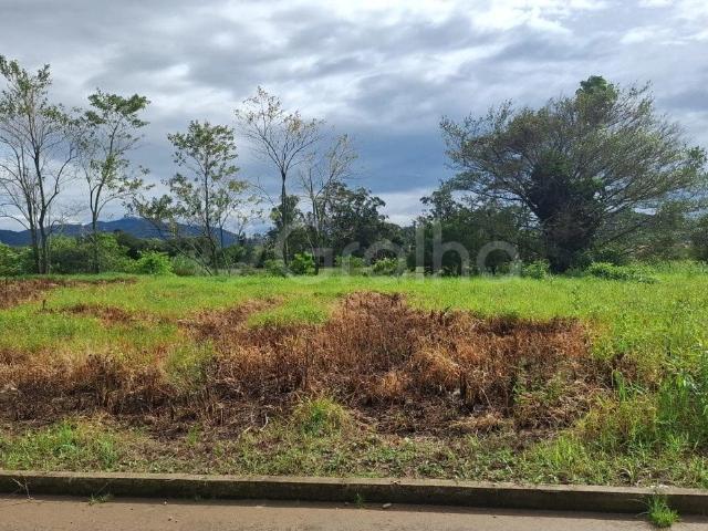 Terreno / Lote para Venda em São José/SC Forquilhas