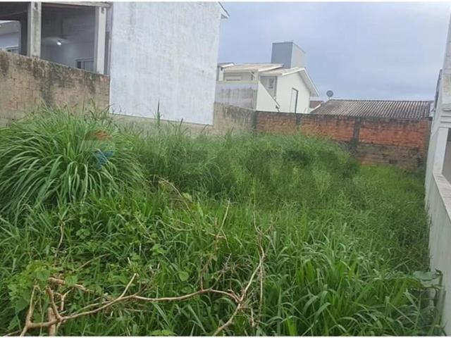 Terreno / Lote para Venda em São José/SC Forquilhas