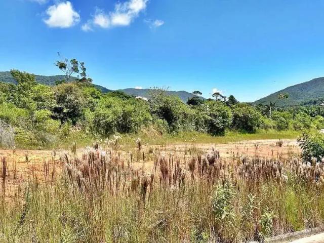 Terreno / Lote para Venda em São José/SC Forquilhas