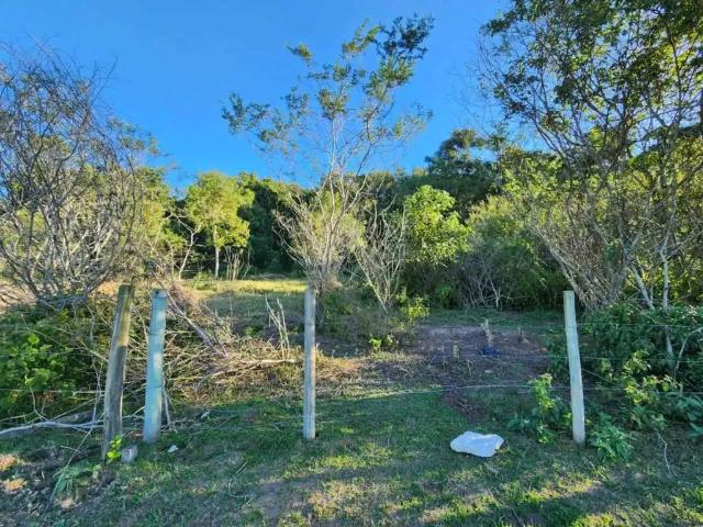 Terreno / Lote para Venda em São José/SC Forquilhas