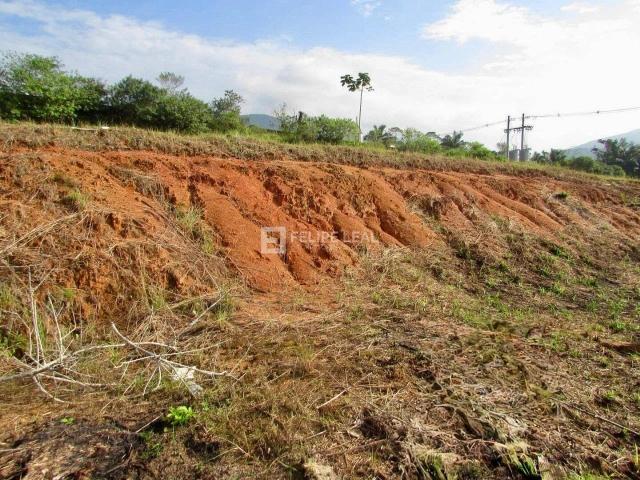 Terreno / Lote para Venda em São José/SC Forquilhas