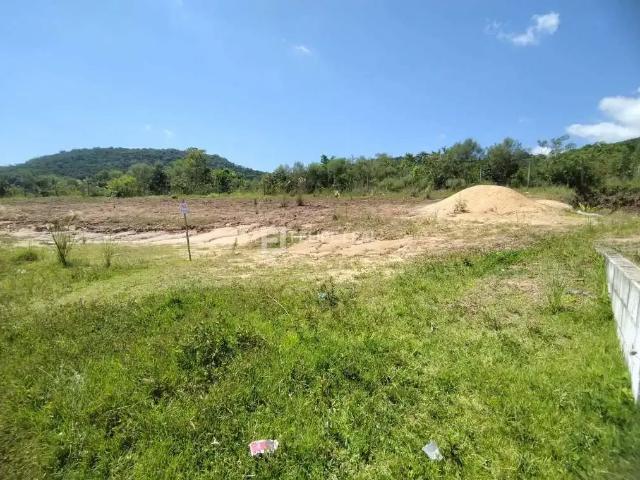 Terreno / Lote para Venda em São José/SC Forquilhas