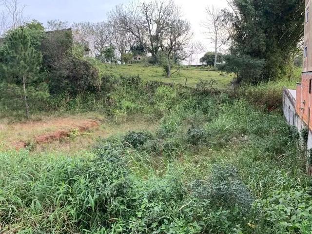 Terreno / Lote para Venda em São José/SC Forquilhinhas