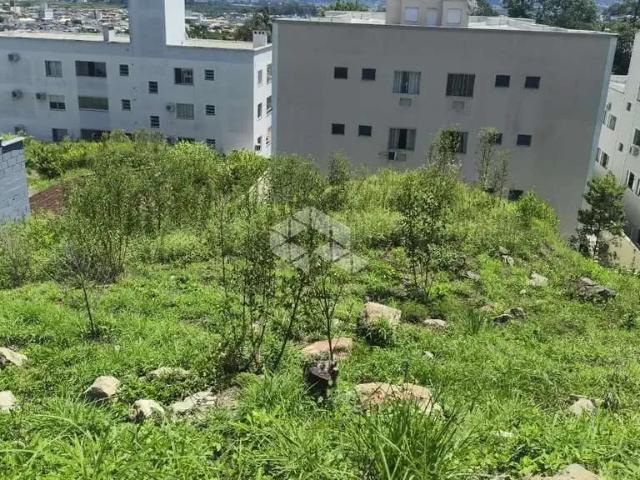 Terreno / Lote para Venda em São José/SC Forquilhinha