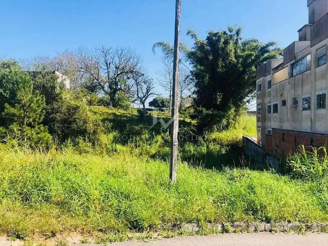Terreno / Lote para Venda em São José/SC Forquilhinha