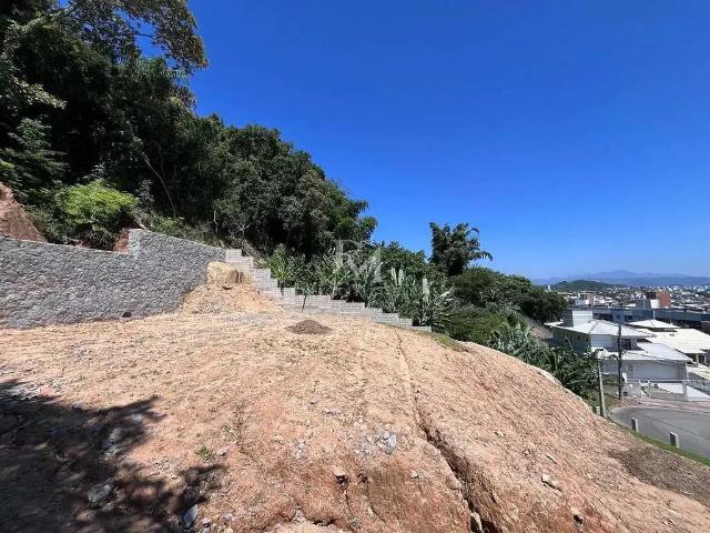 Terreno / Lote para Venda em São José/SC Forquilhinha