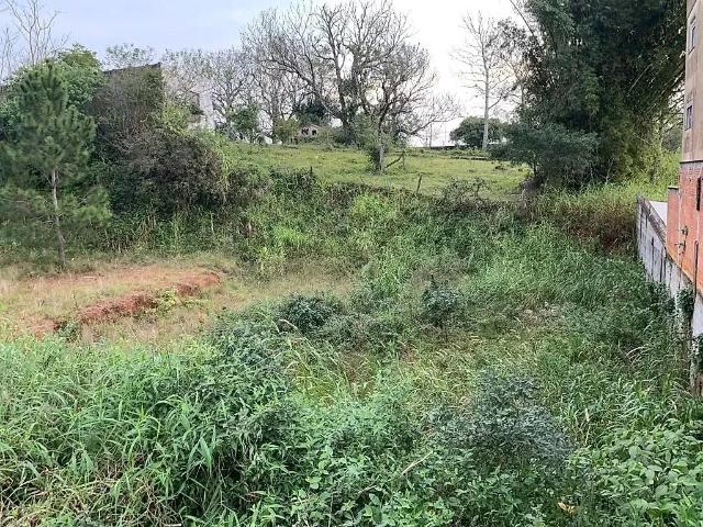 Terreno / Lote para Venda em São José/SC Forquilhinha
