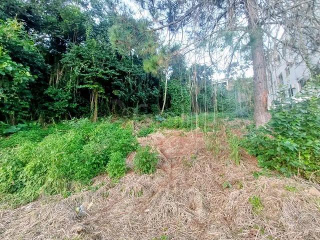 Terreno / Lote para Venda em São José/SC Forquilhinhas