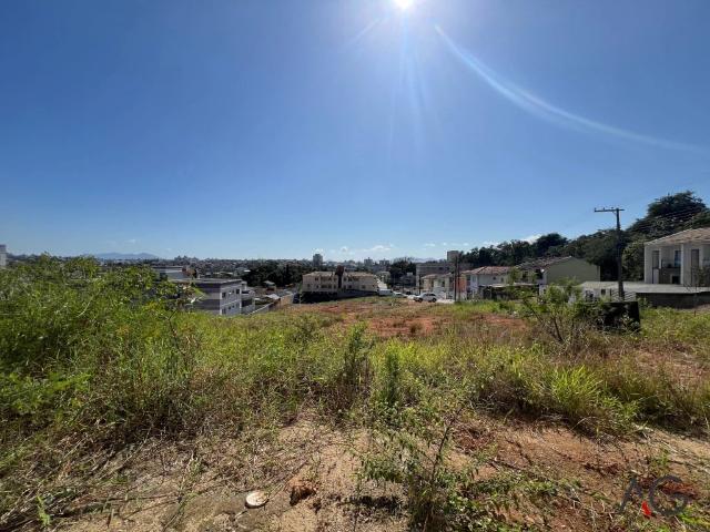 Terreno / Lote para Venda em São José/SC Ipiranga