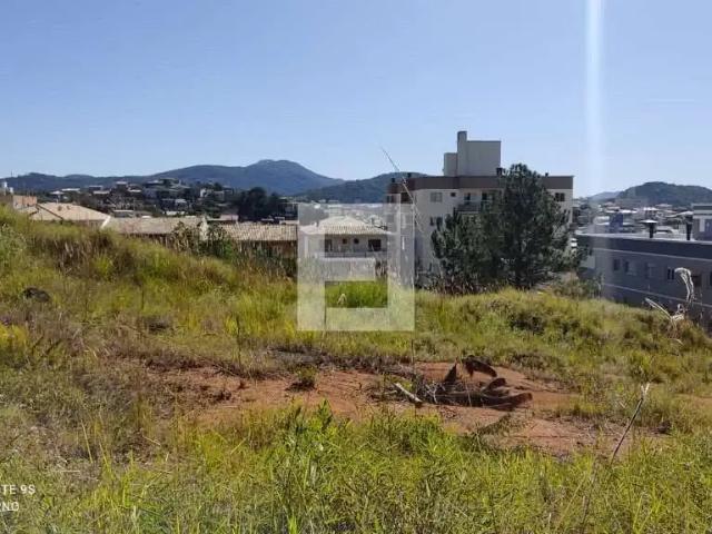 Terreno / Lote para Venda em São José/SC Ipiranga