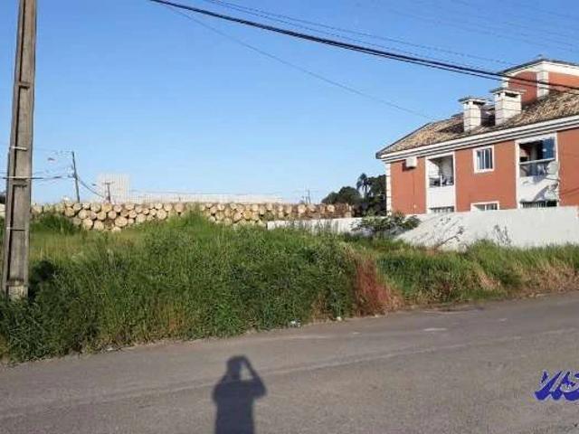 Terreno / Lote para Venda em São José/SC Ipiranga
