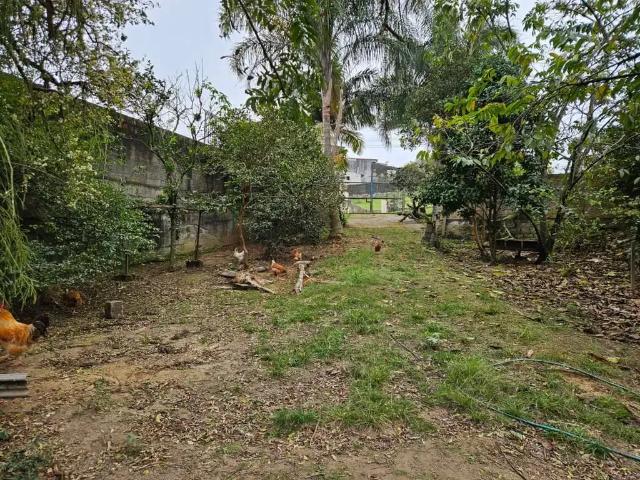 Terreno / Lote para Venda em São José/SC Picadas do Sul