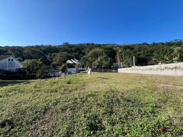 Terreno / Lote para Venda em São José/SC Ponta de Baixo
