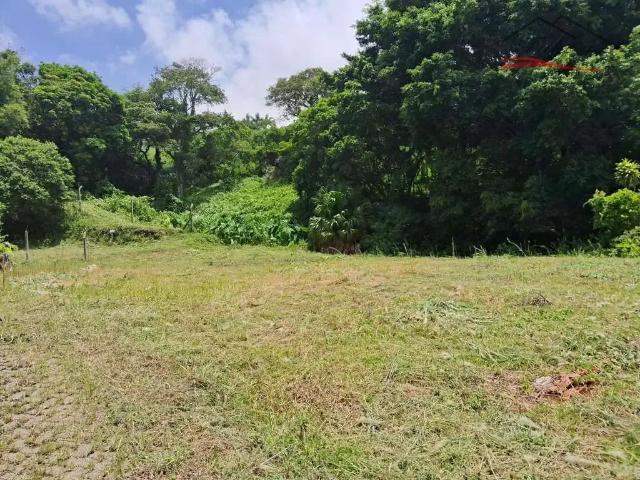 Terreno / Lote para Venda em São José/SC Ponta de Baixo