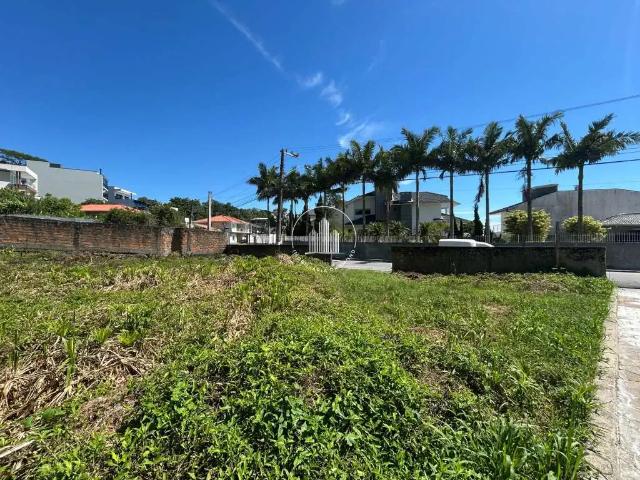Terreno / Lote para Venda em São José/SC Ponta de Baixo