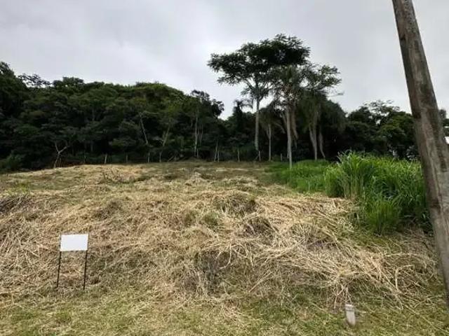 Terreno / Lote para Venda em São José/SC Ponta de Baixo