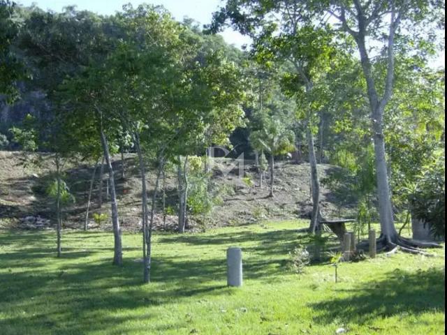 Terreno / Lote para Venda em São José/SC Ponta de Baixo