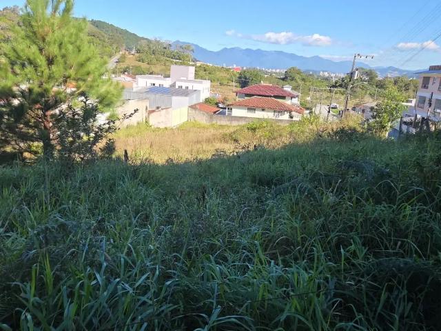 Terreno / Lote para Venda em São José/SC Potecas