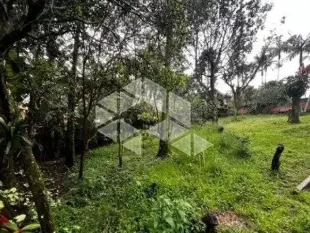 Terreno / Lote para Venda em São José/SC Potecas