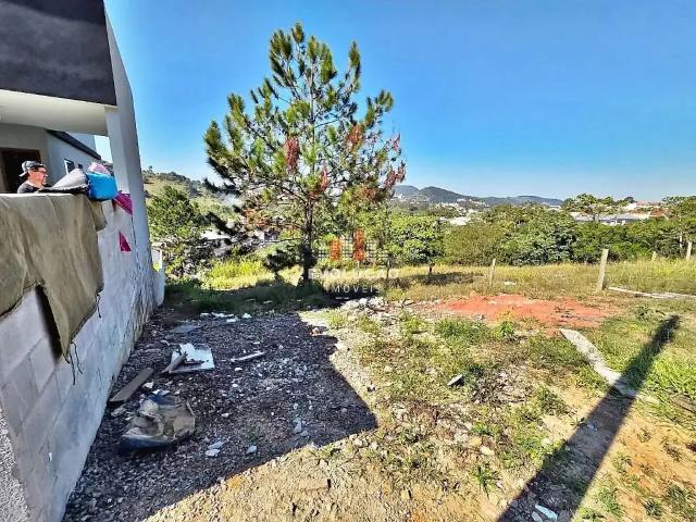 Terreno / Lote para Venda em São José/SC Potecas