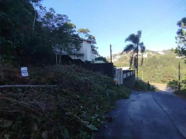 Terreno / Lote para Venda em São José/SC Potecas