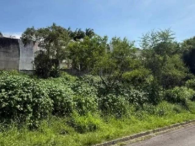 Terreno / Lote para Venda em São José/SC Roçado
