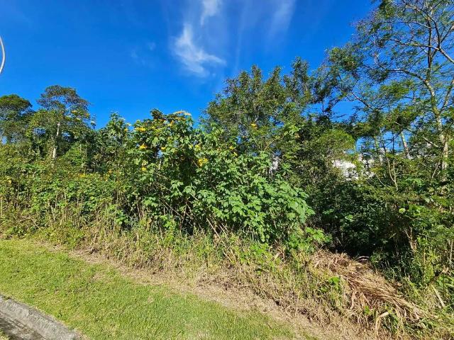 Terreno / Lote para Venda em São José/SC Roçado