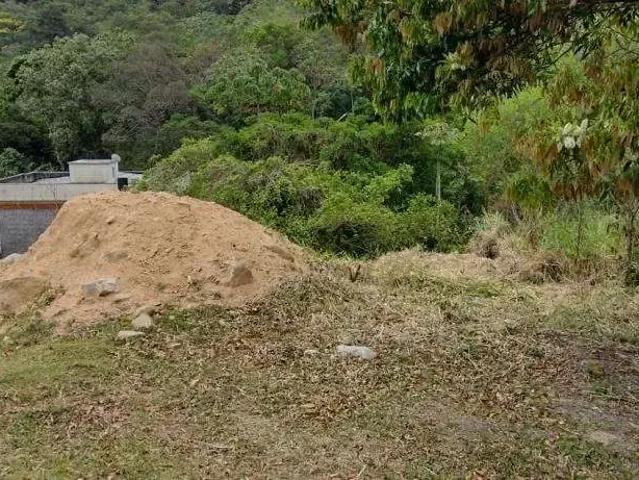 Terreno / Lote para Venda em São José/SC Roçado