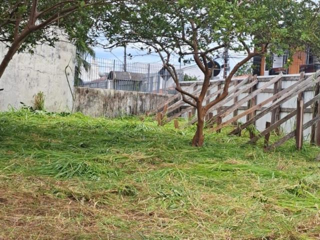 Terreno / Lote para Venda em São José/SC Roçado