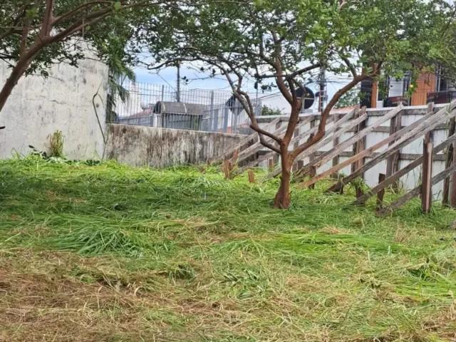 Terreno / Lote para Venda em São José/SC Roçado