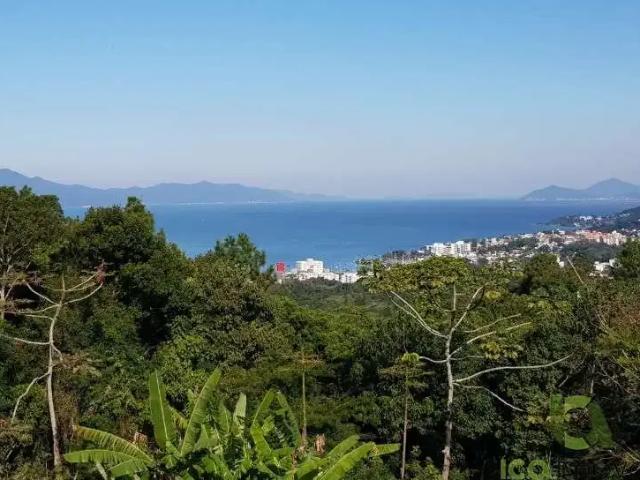 Terreno / Lote para Venda em São José/SC Roçado