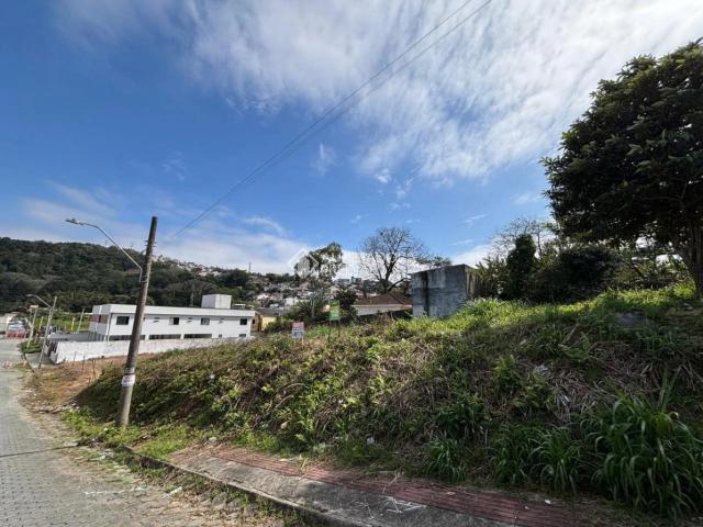Terreno / Lote para Venda em São José/SC Roçado