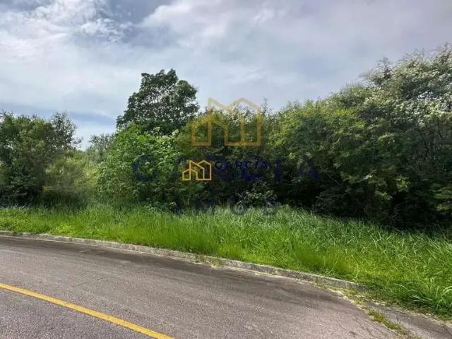 Terreno / Lote para Venda em São José/SC Roçado