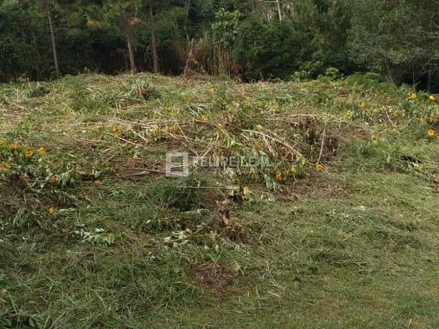 Terreno / Lote para Venda em São José/SC São Luiz