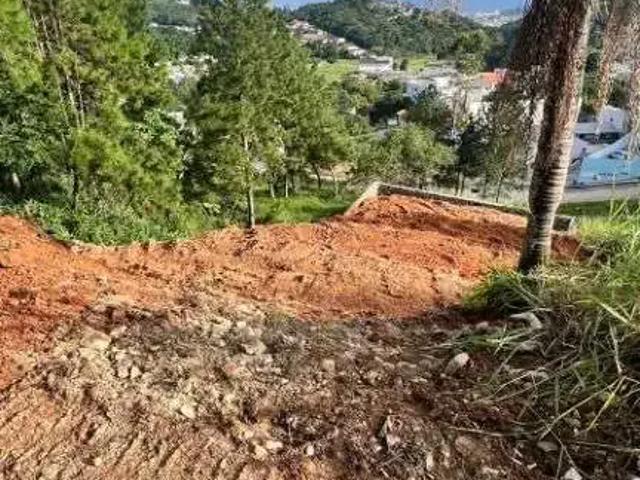 Terreno / Lote para Venda em São José/SC São Luiz
