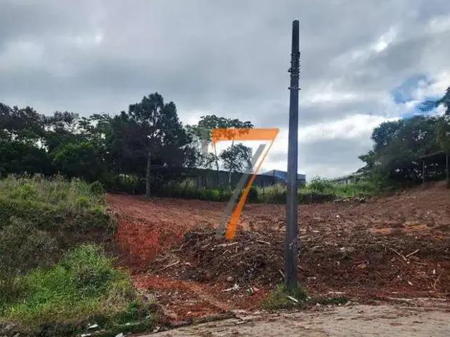 Terreno / Lote para Venda em São José/SC Serraria